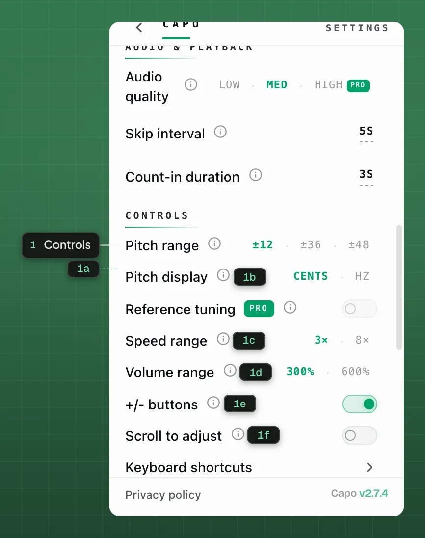 The Controls section of Settings: pitch range, pitch display, speed and volume ranges, and Scroll to adjust